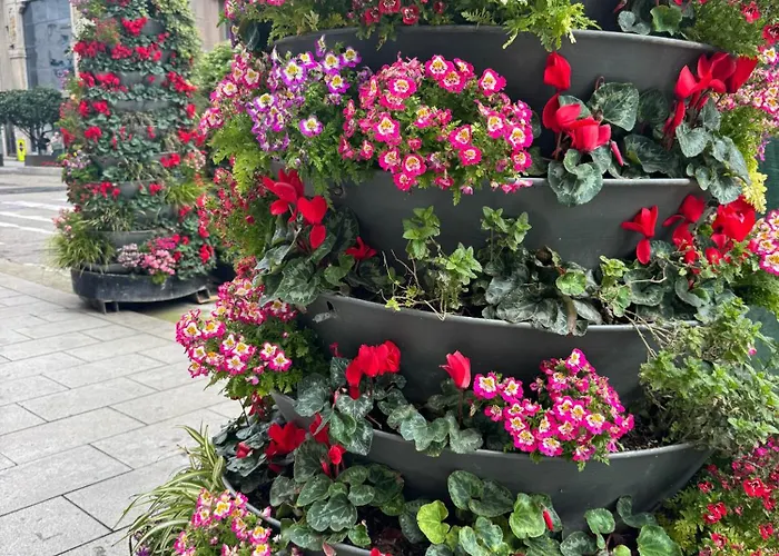 Appartement Casco Vello Balcon 1 Y 2 *